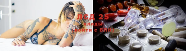мдпв Новосибирск