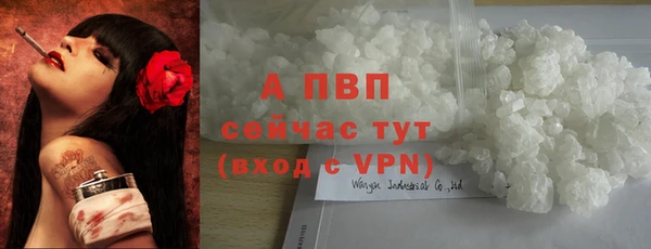 прущие грибы Липки