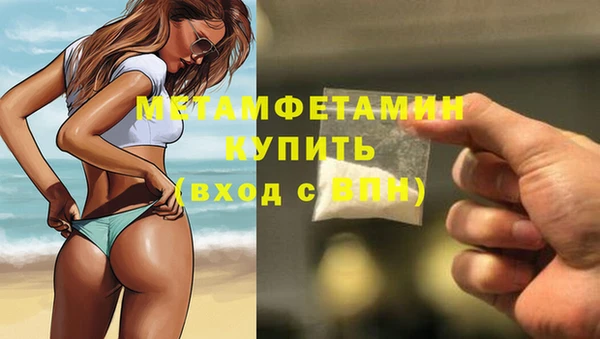 прущие грибы Липки