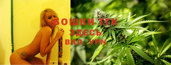 мдпв Лиски