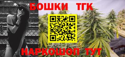 спиды Канаш