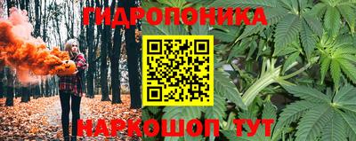 твердый Камышлов