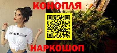 спиды Канаш