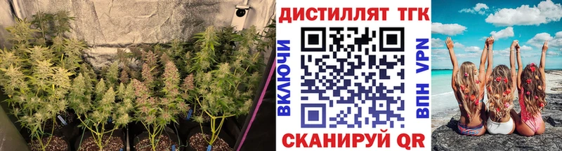 Дистиллят ТГК концентрат Вологда