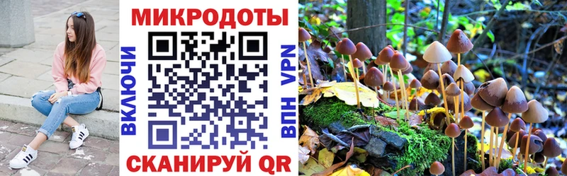 Галлюциногенные грибы Psilocybine cubensis  дарнет шоп  Вологда 
