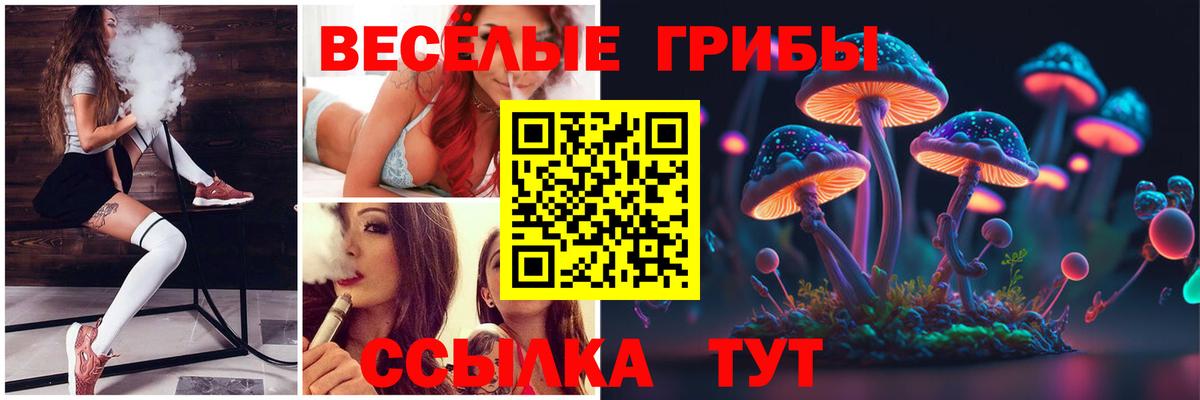 Галлюциногенные грибы Psilocybine cubensis  Вход с VPN  Вологда  Псилоцибиновые грибы Psilocybe 